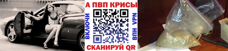 Купить закладки  Великий Устюг  A-PVP Соль 