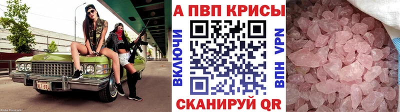 Альфа ПВП СК Великий Устюг