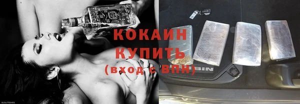 гидра Бронницы