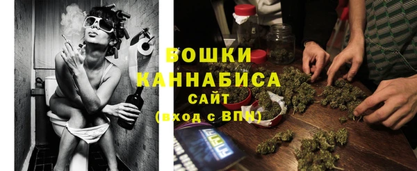 гидра Бронницы