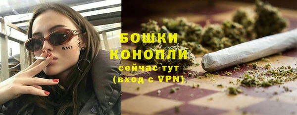 гидра Бронницы
